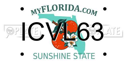 ICVL63 Florida License Plate