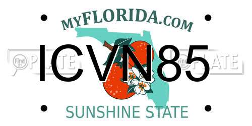 ICVN85 Florida License Plate