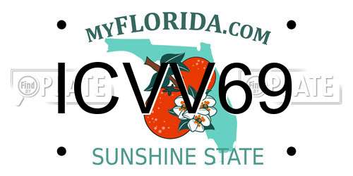 ICVV69 Florida License Plate