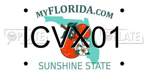 ICVX01 Florida License Plate