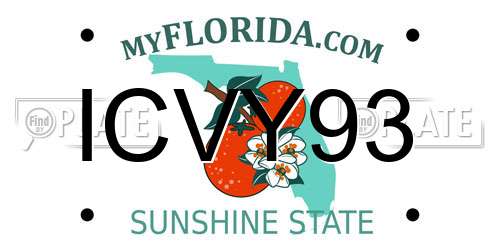 ICVY93 Florida License Plate