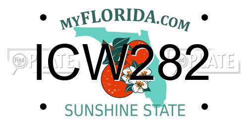 ICW282 Florida License Plate