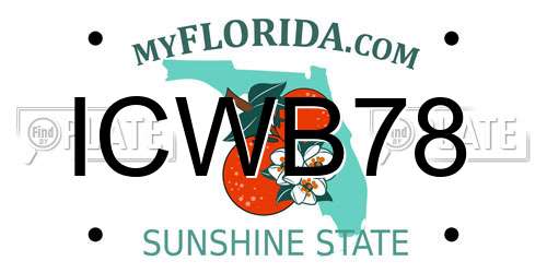 ICWB78 Florida License Plate