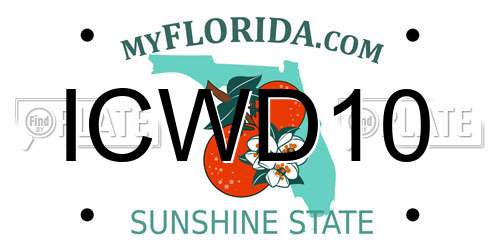 ICWD10 Florida License Plate