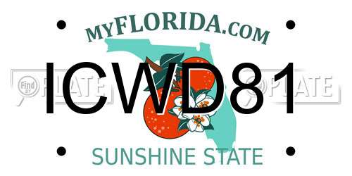 ICWD81 Florida License Plate