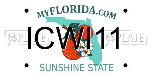 ICWI11 Florida License Plate