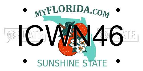 ICWN46 Florida License Plate