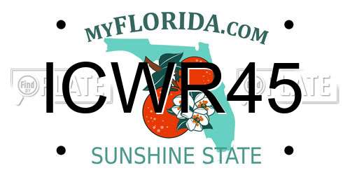 ICWR45 Florida License Plate