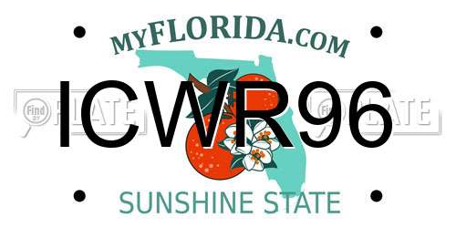 ICWR96 Florida License Plate