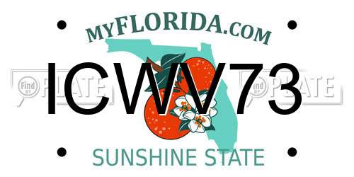 ICWV73 Florida License Plate