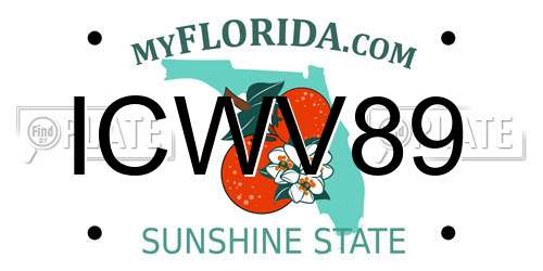 ICWV89 Florida License Plate