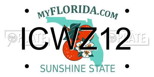 ICWZ12 Florida License Plate