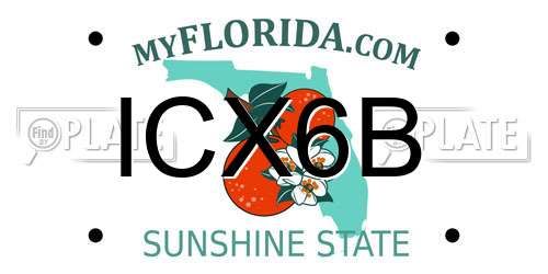 ICX6B Florida License Plate