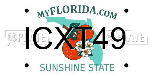 ICXT49 Florida License Plate