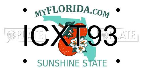 ICXT93 Florida License Plate
