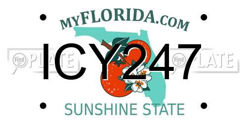 ICY247 Florida License Plate