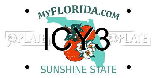 ICY3 Florida License Plate