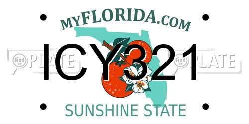 ICY321 Florida License Plate