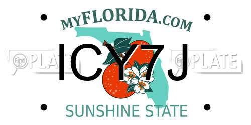 ICY7J Florida License Plate