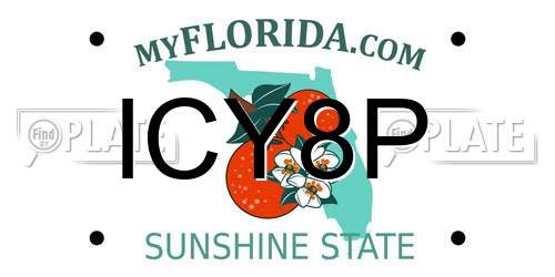 ICY8P Florida License Plate
