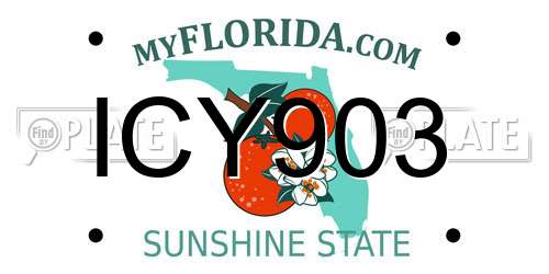 ICY903 Florida License Plate