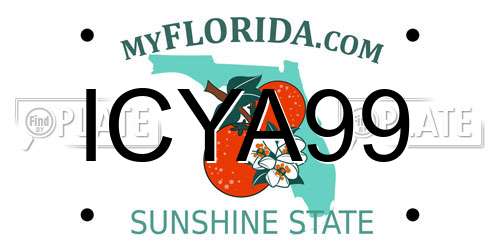 ICYA99 Florida License Plate