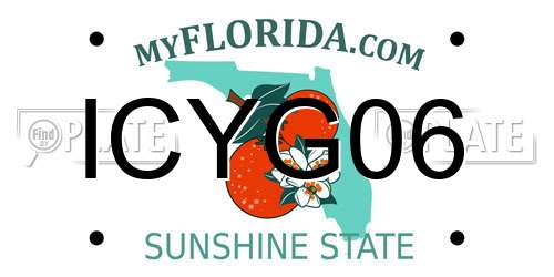 ICYG06 Florida License Plate