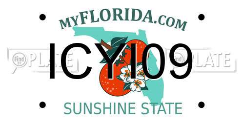 ICYI09 Florida License Plate