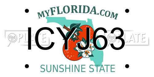 ICYJ63 Florida License Plate