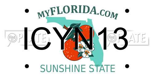 ICYN13 Florida License Plate