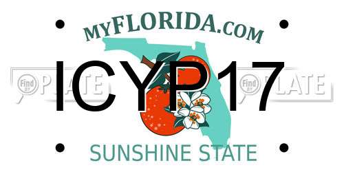 ICYP17 Florida License Plate