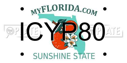 ICYP80 Florida License Plate