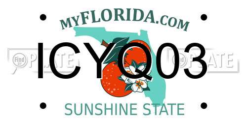 ICYQ03 Florida License Plate