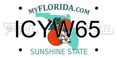 ICYW65 Florida License Plate