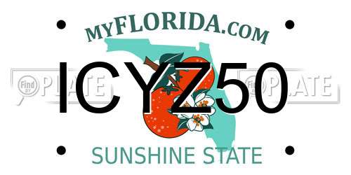 ICYZ50 Florida License Plate