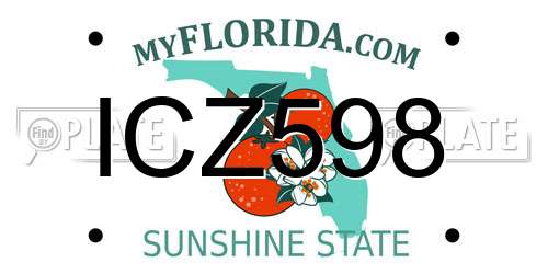 ICZ598 Florida License Plate