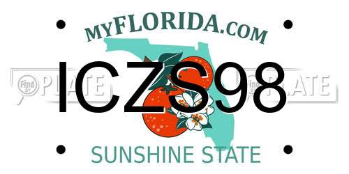 ICZS98 Florida License Plate