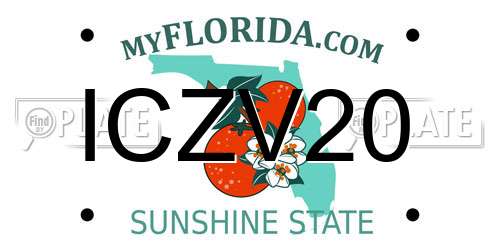 ICZV20 Florida License Plate