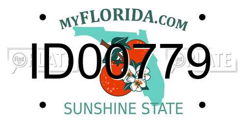 ID00779 Florida License Plate