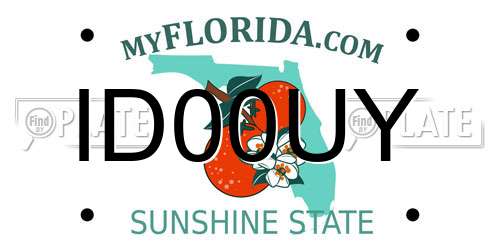 ID00UY Florida License Plate