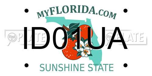 ID01UA Florida License Plate