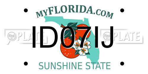 ID07IJ Florida License Plate