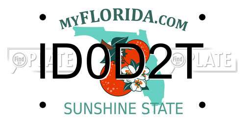 ID0D2T Florida License Plate