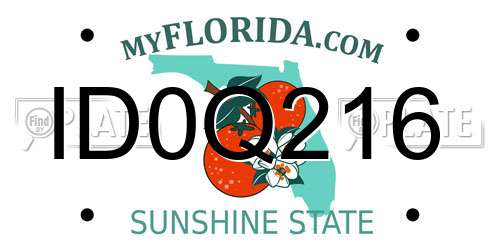 ID0Q216 Florida License Plate