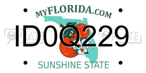 ID0Q229 Florida License Plate