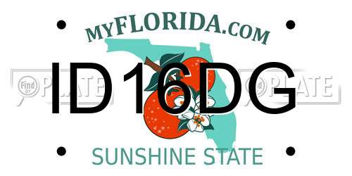 ID16DG Florida License Plate