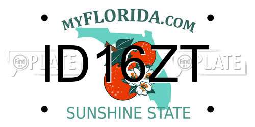 ID16ZT Florida License Plate
