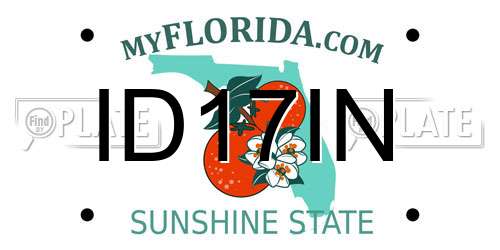 ID17IN Florida License Plate