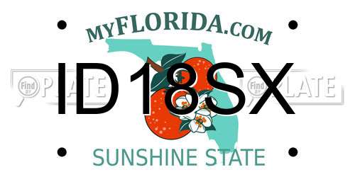 ID18SX Florida License Plate