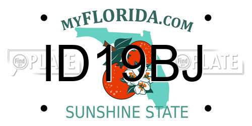 ID19BJ Florida License Plate